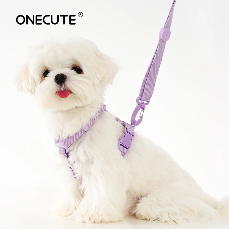 dog harness dog collar dog leash Macarone color cat accessories pet small dog accessories small dog harnessdog supplies 250224