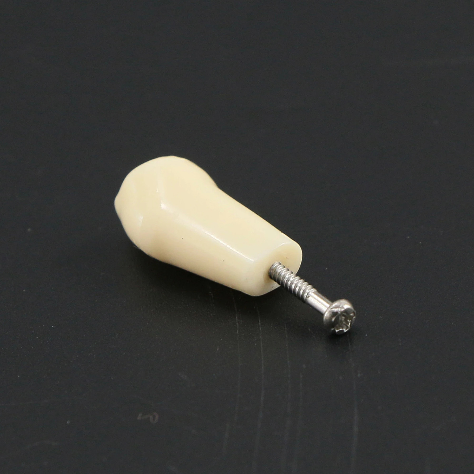 Frasaco ANA-4 Type Fit Dental Replacement Standard 28Pcs Screw-in Teeth Model Typodont Practice Filling Restoration Demo M8021 250227