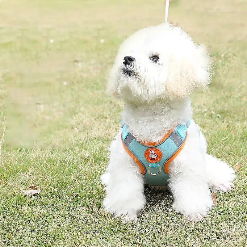 Dog Harness Leash Set Reflective Adjustable Dog Collar Dog Leash Small and Medium Dog Accessories Puppy Harness Pomeranian 250224