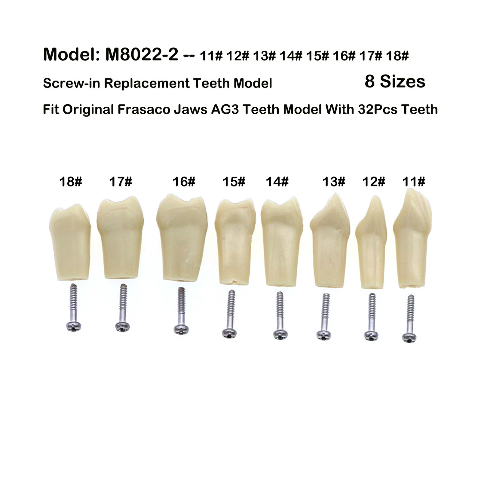 5Pcs Frasaco Jaws AG3 Original Type Fit Dental Teeth Model Replacement Screw-in Standard Typodont Practice Filling 11#-18# 250227