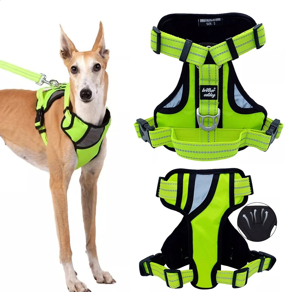 No Pull Pet Harness No Choke Front Lead Dog Harness Adjustable Soft Padded Dog Vest for Medium Large Dogs 250224
