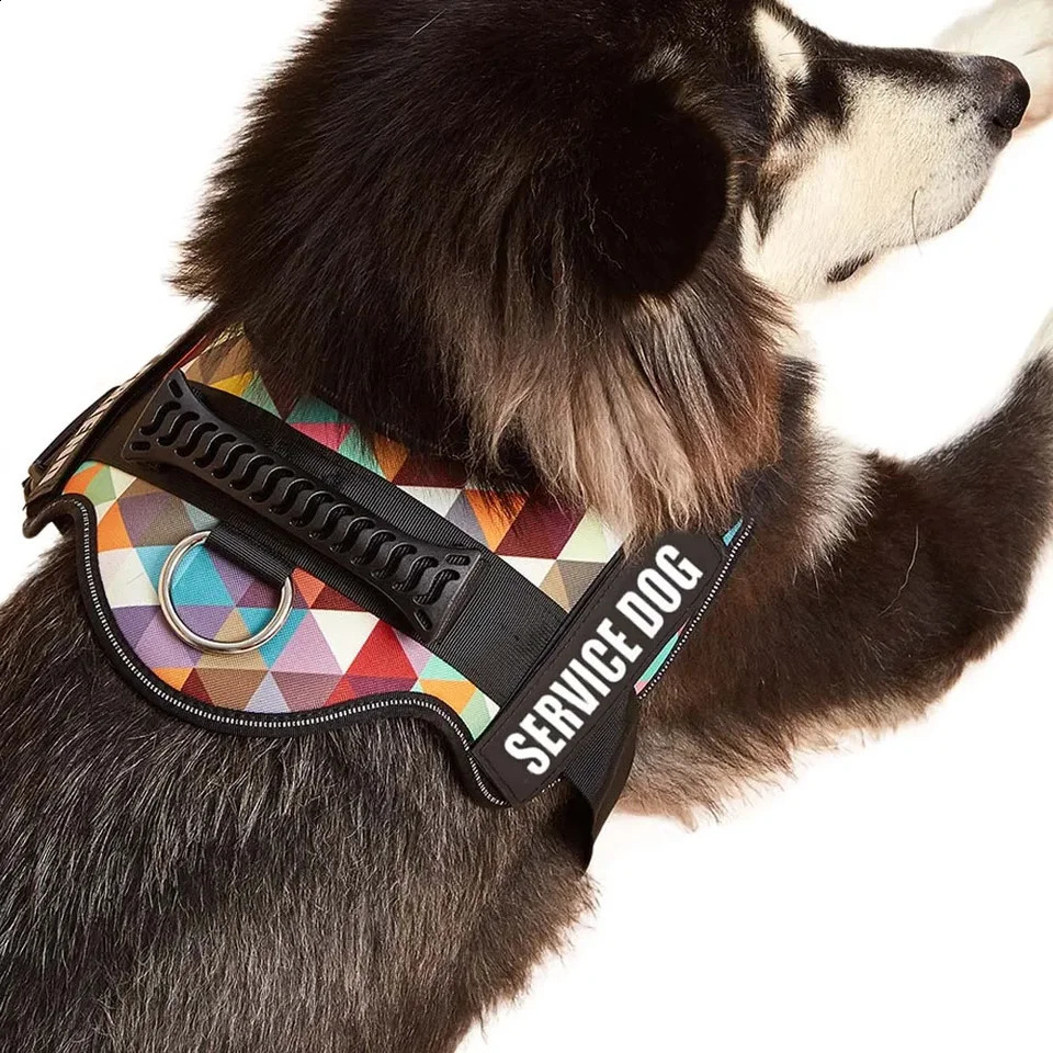 Favorite Pet Dog Harness Service Dog And Emotional Support Harness Vest With Removable Reflective Patches For Large Medium Puppy 250224