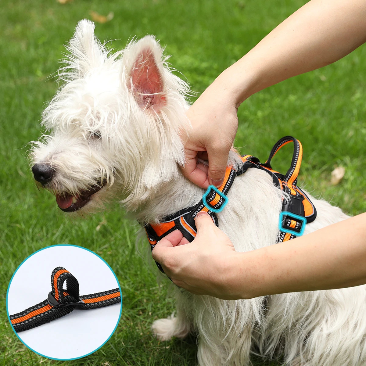 Adjustable Dog Harness Vest Pet Reflective Breathable Vest Chest Strap for Small Medium and Large Dogs for Outdoor Walking 250224