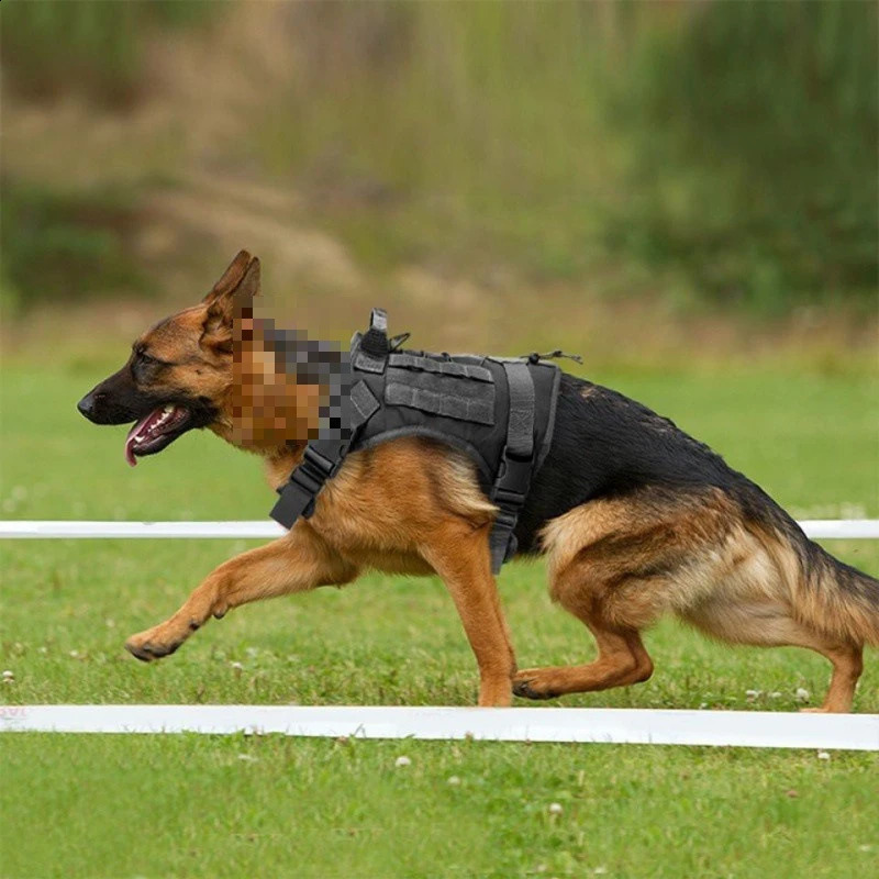 Tactical Dog Harness Military Training K9 Padded Quick Release Vest Pet Training Dog Harness For Set Small Medium Large Dogs 250224