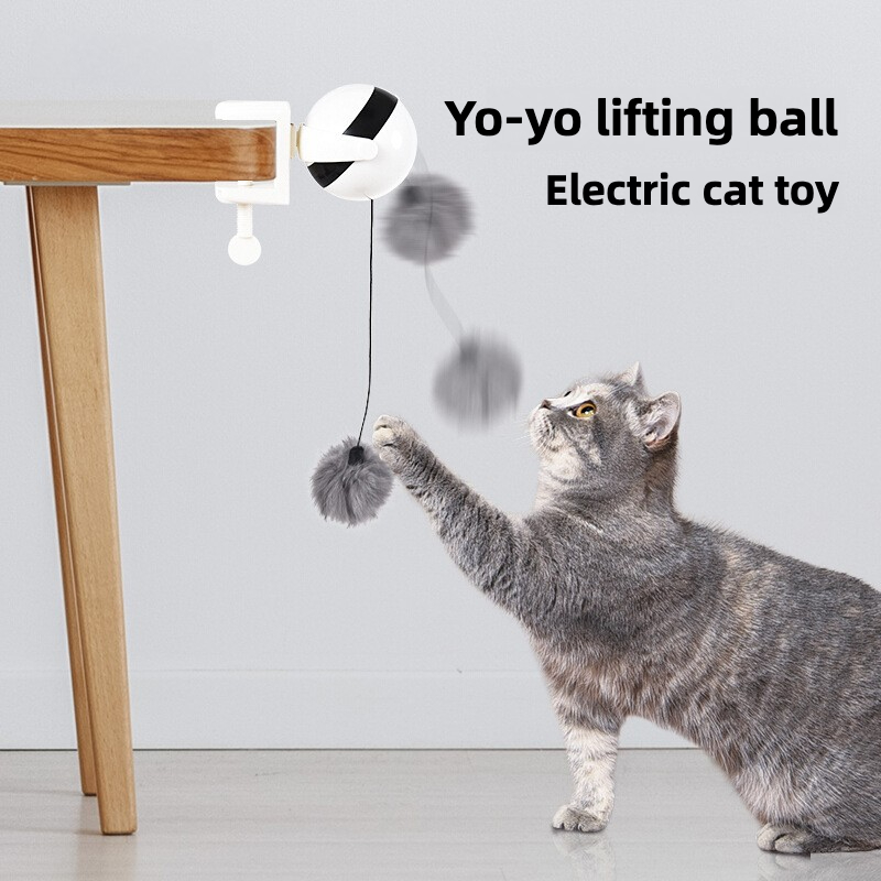 Movable lifting ball electric cat teasing educational toys cat fun self-hi interactive pet products popular wholesale