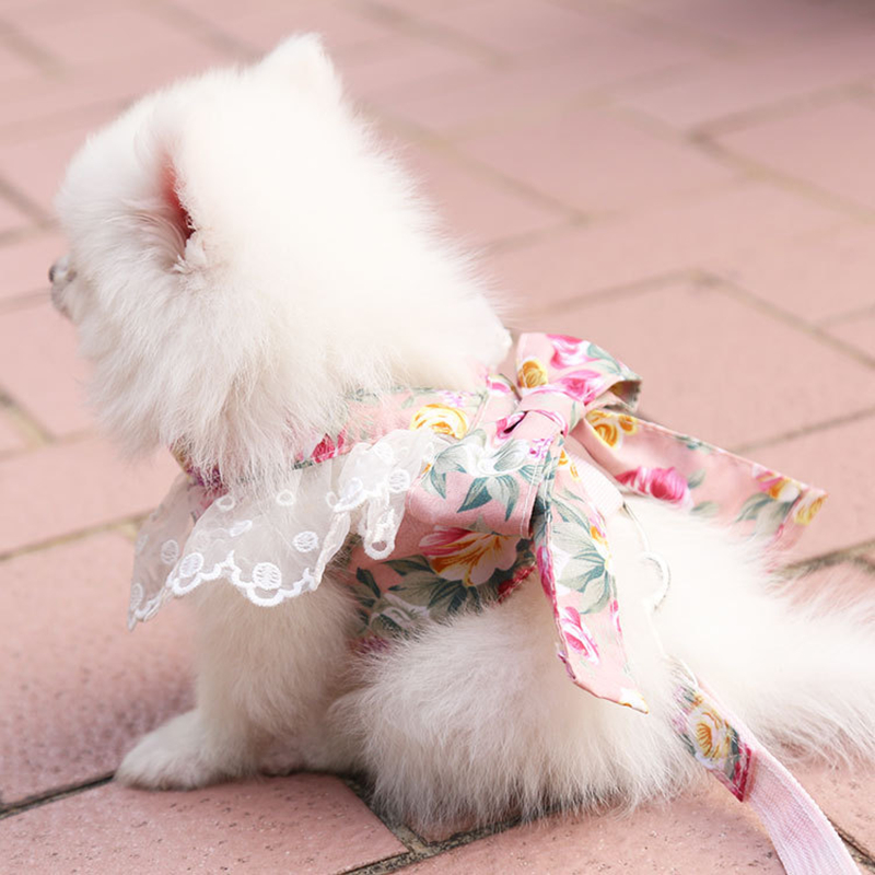 Small Dog Girls Harness Dress with Leash Set, Puppy Dog Vest Harnesses Princess Skirt with Bow Knot, Female Pet Clothes Skirt Chihuahua Yorkie Apparel