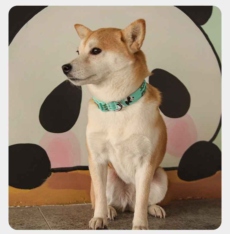 Durable Adjustable Pet Leads and Collars Set - Stylish Print Choices Available for All Sizes