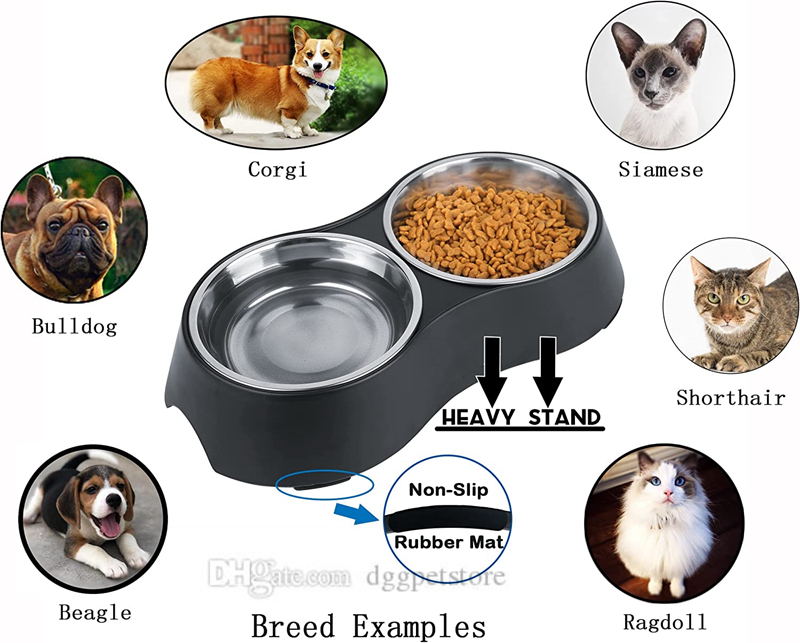 Designer Double Dog and Food Bowls, Stainless Steel with Non-Slip Resin Station, Pet Feeder Bowls for Puppy Medium Dogs Cats Size L 33*W 17.5*H 6 CM J