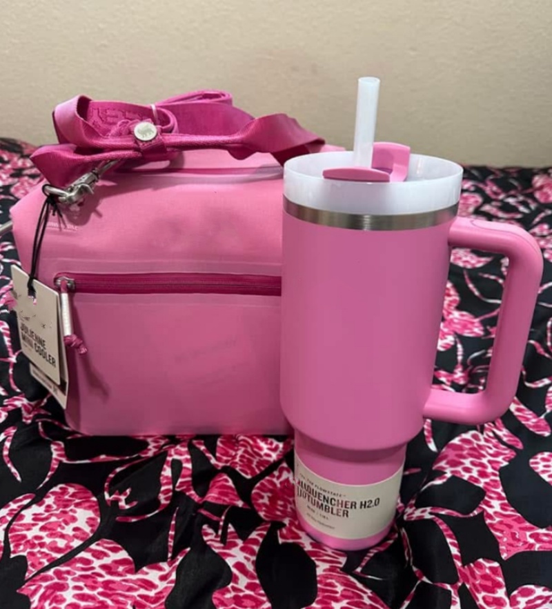 US Stock All Day Julienne Mini Soft Cooler Bag And Lunch Box 10 Can Recycled Polyester