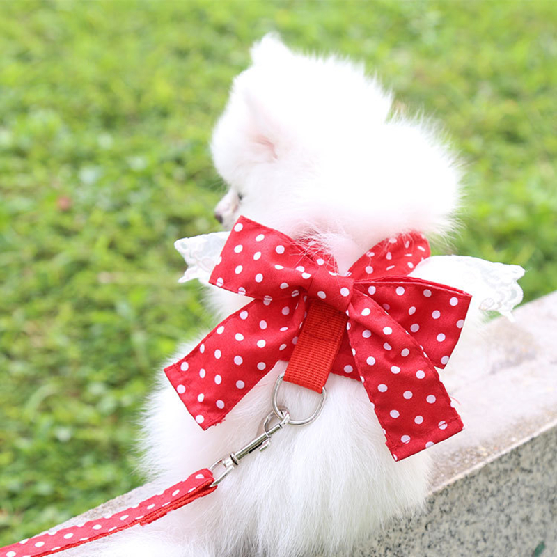 Small Dog Girls Harness Dress with Leash Set, Puppy Dog Vest Harnesses Princess Skirt with Bow Knot, Female Pet Clothes Skirt Chihuahua Yorkie Apparel