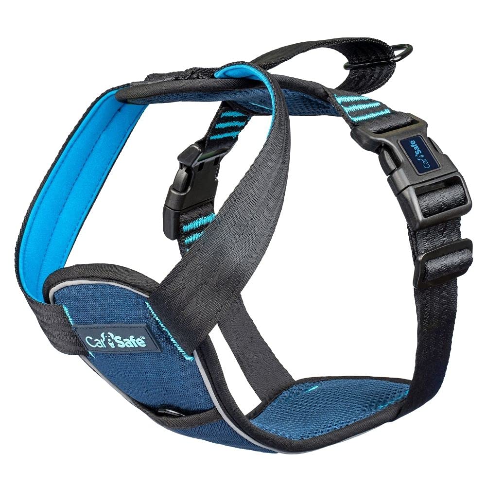 High-Quality Canine Restraint Harness Passes Rigorous Testing Standards Ideal for Safe Rides