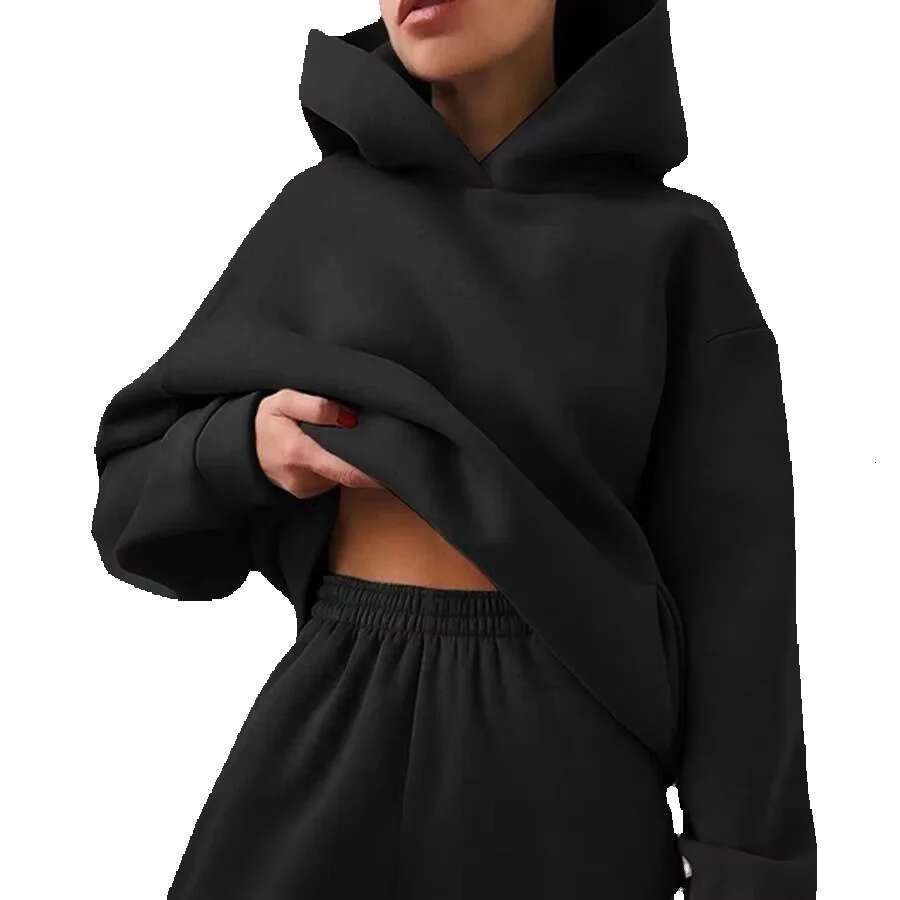 500Gsm Heavy Weight Women's Fashion Autumn Winter Casual Thick Cotton Woman Top Solid Color Hoodies Sweatshirt Pullover