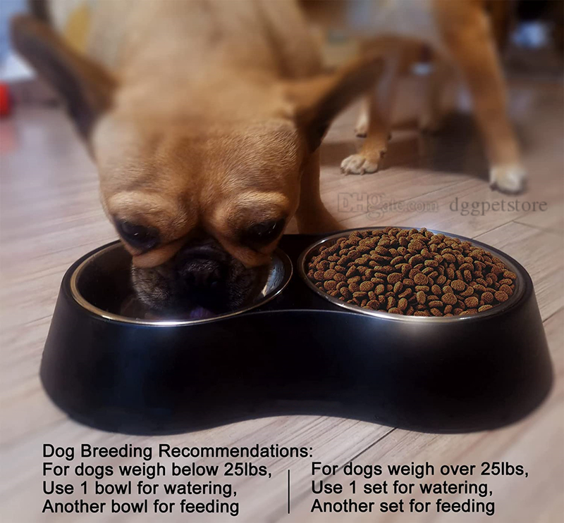 Designer Double Dog and Food Bowls, Stainless Steel with Non-Slip Resin Station, Pet Feeder Bowls for Puppy Medium Dogs Cats Size L 33*W 17.5*H 6 CM J