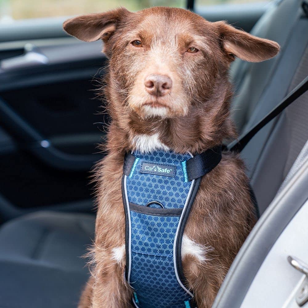 High-Quality Canine Restraint Harness Passes Rigorous Testing Standards Ideal for Safe Rides