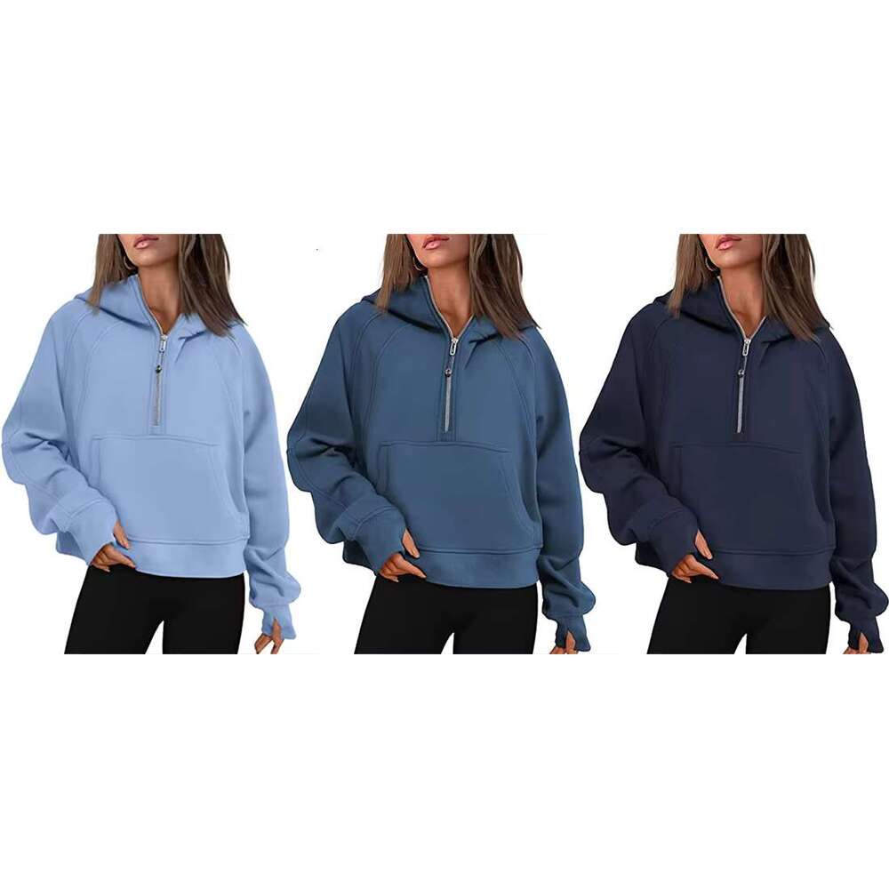 Customised Costume Hoodie Casual Winter Heavy Thick Female Sweatshirt Hoodies