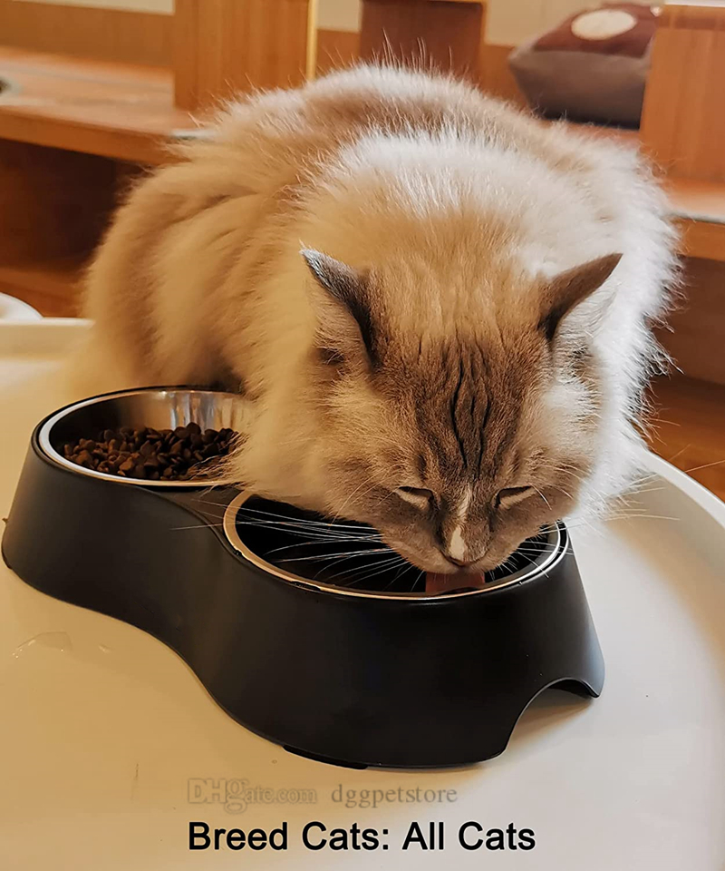 Designer Double Dog and Food Bowls, Stainless Steel with Non-Slip Resin Station, Pet Feeder Bowls for Puppy Medium Dogs Cats Size L 33*W 17.5*H 6 CM J