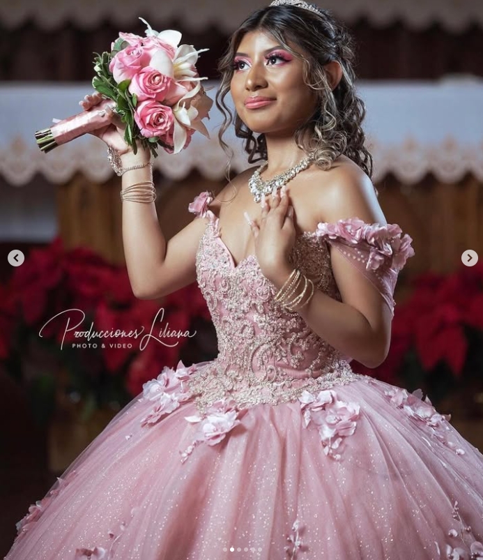 3D Floral Appliques Pink Quinceanera Dresses Off Shoulder Sweet 16 Dress Floor Length Prom Occasion Ball Gown Vestido De 15 Anos