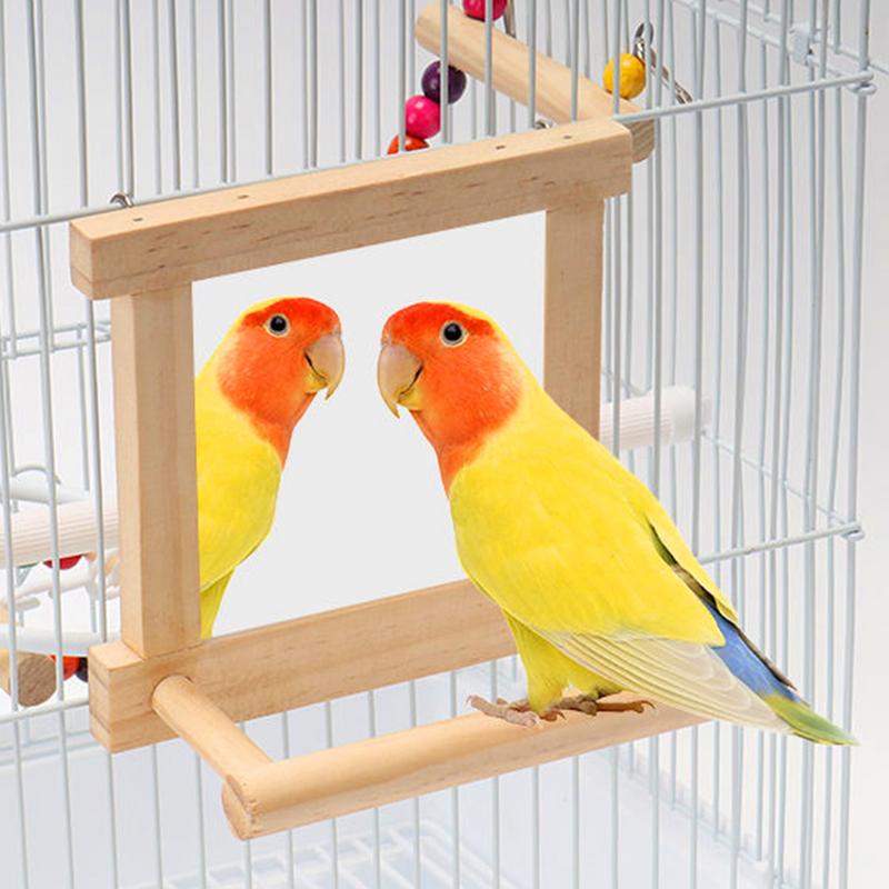 Bird Mirror Perch Paw Grinding Pole For Birds Natural Wood Parrot Cage Pole For Parakeets Cockatiels Lovebirds Standing Branch
