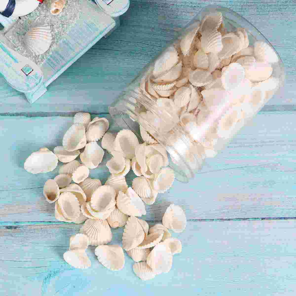 Fish Tank Accessories Shell Jewelry Small Decor Scallop Natural Ornaments Vase Barreled DIY Pendant