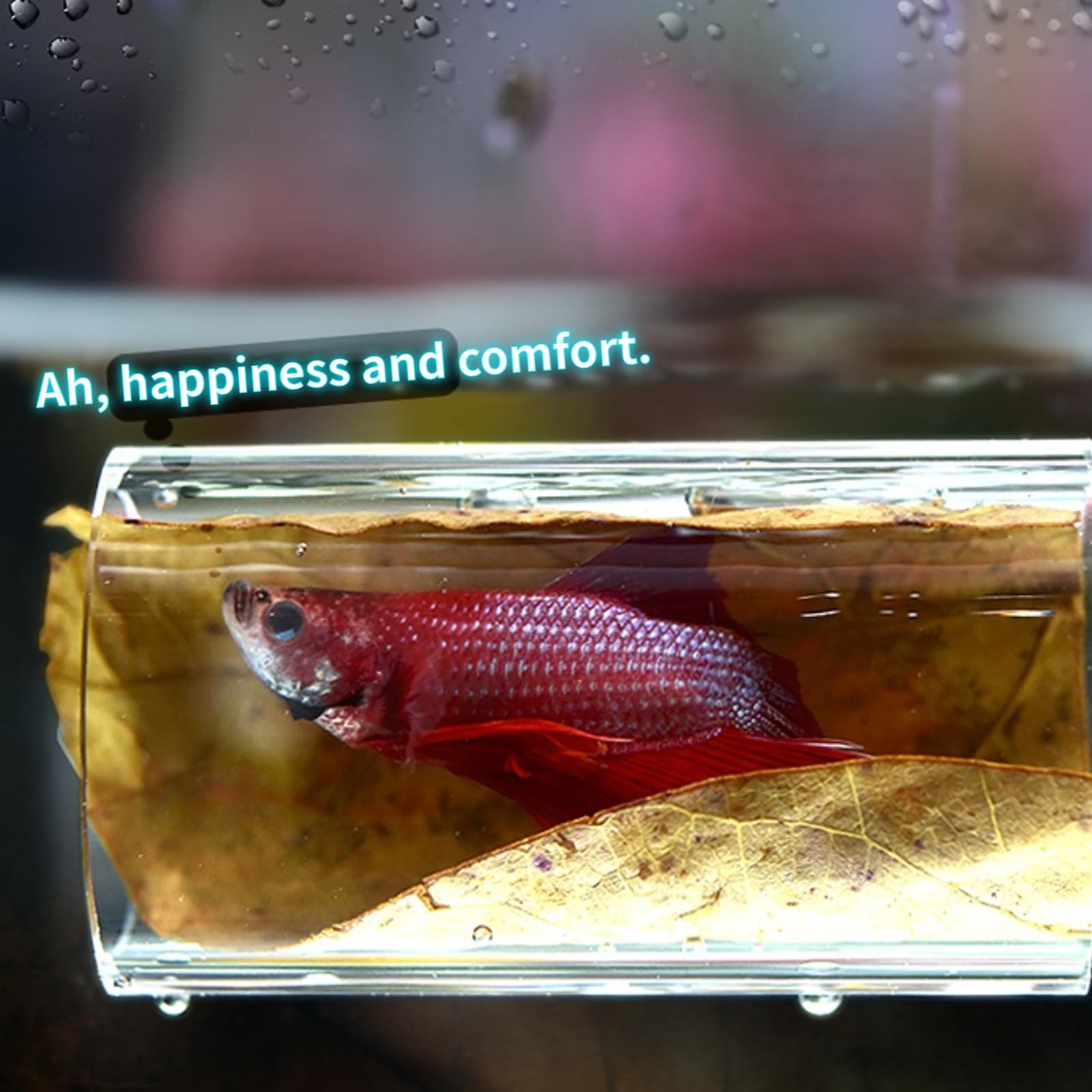 1/2Pcs Betta Fish Acrylic Tube Tunnel Hollow Design Fish Tank Decorations For Better Observation Fish Improves Betta's Health