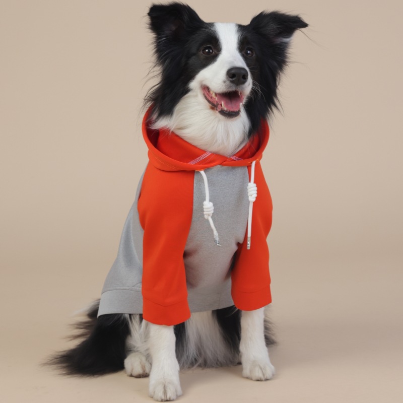 Waterproof Raincoat for Dogs - Medium/Large Size, Reliable & Stylish, Suitable for Year - Round Use