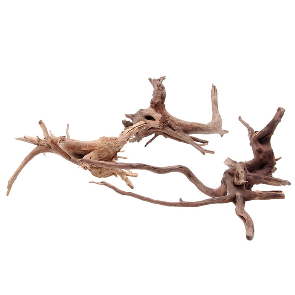 Fish Tank Plant Driftwood for Freshwater Aquarium Chiller Artificial Outdoor Plants