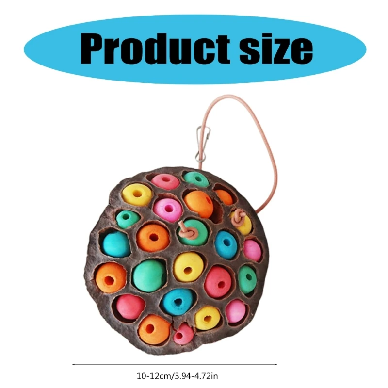 Bird Toy Parrot Chewing Toy Birdcage Tearing Toy All Size Birdcage Nature Lotos Seedpod Bird Toy for Conures Cockatiels