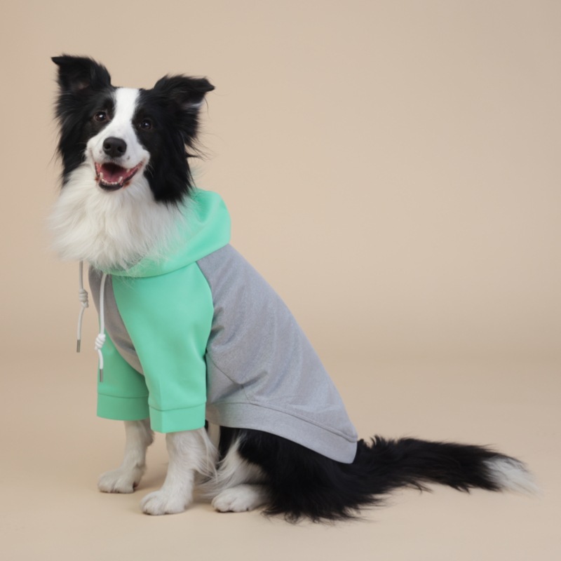 All - Weather Four - Legged Windproof Coat Fit for Small and Medium Dogs with an Inclusive Design