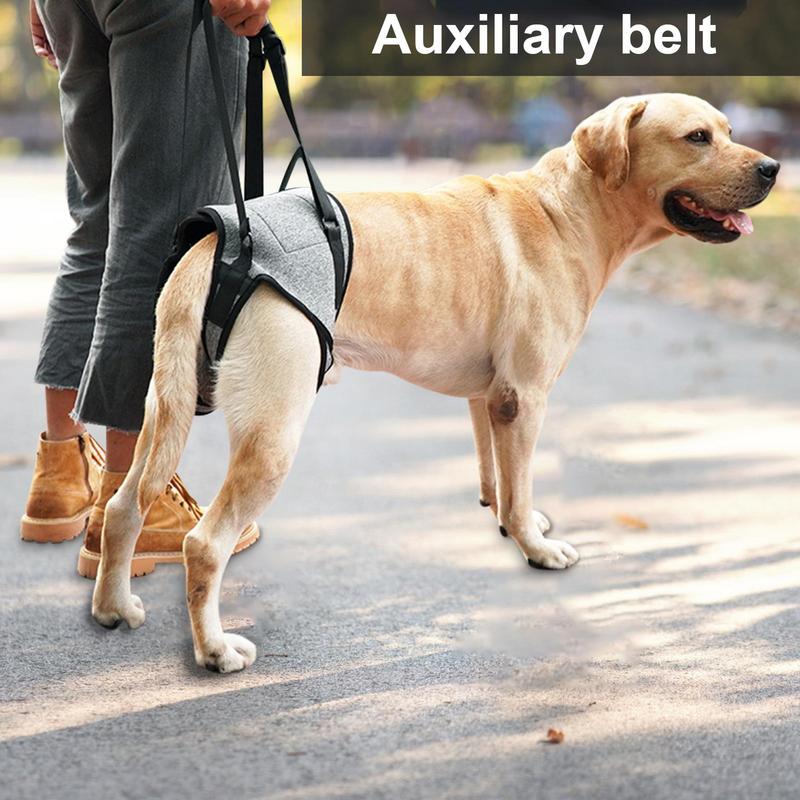 Dog Lift Harness for Large Dogs Soft Padded Adjustable Dog Back Leg Sling for Old Disabled Joint Injuries Pet Rear Leg Support