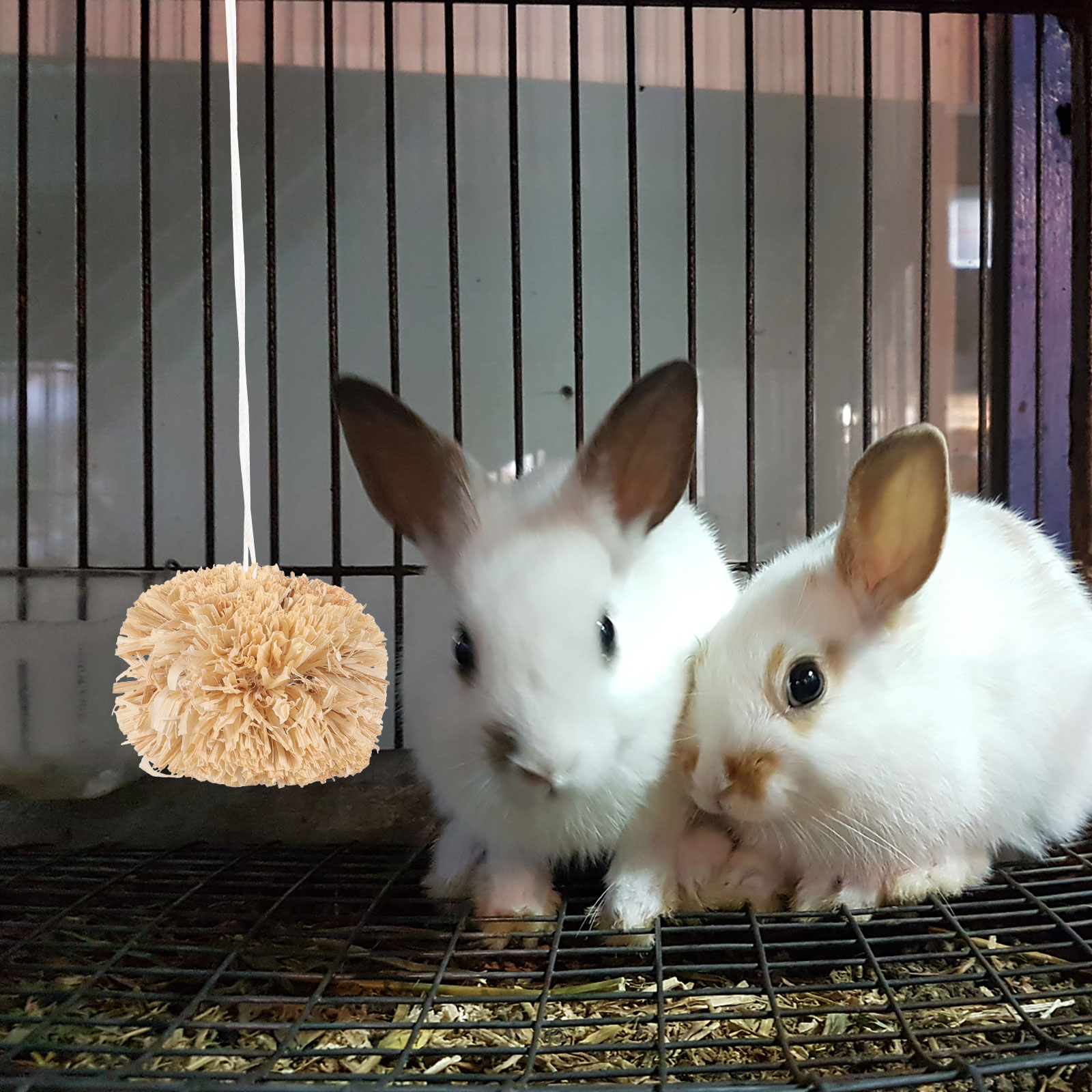2 Pcs Bunny Molar Toys Hamster Treats Pet Teether Ball Small Supply Anti-scratch