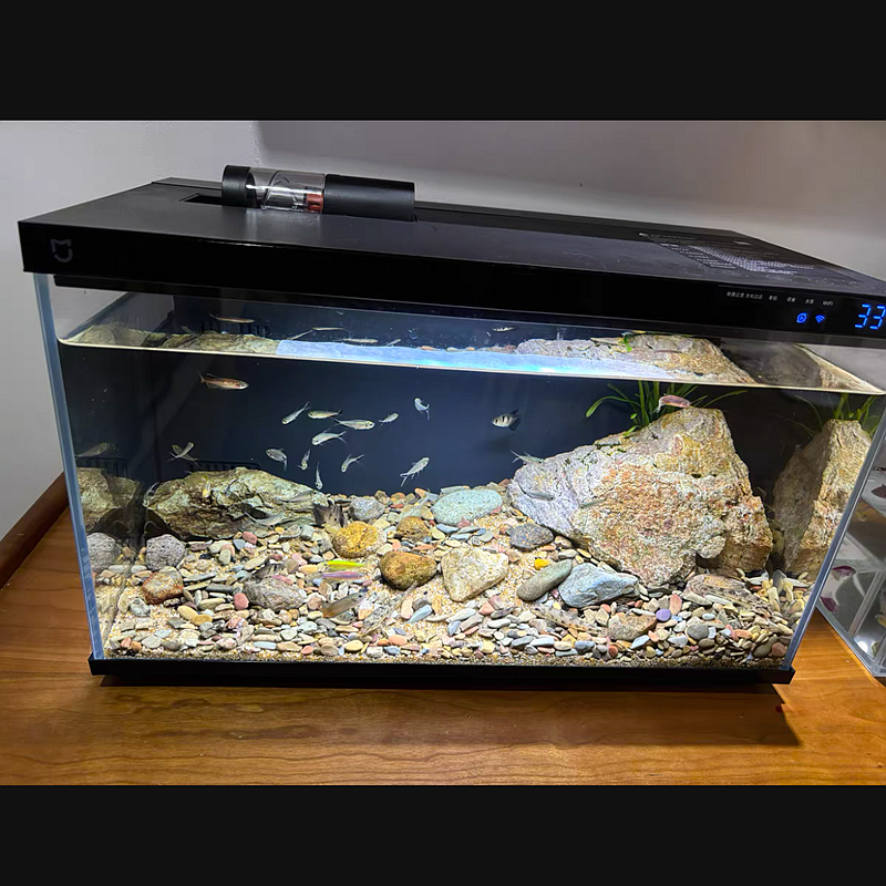 100/200/500g Fish Tank Bottom Sand Stone Aquarium Landscape Native Stream Natural Sand Stone Garden DIY Accessories Decorations