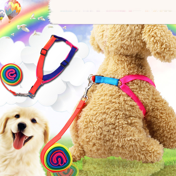 1.2cm & 0.8cm Vivid - Hued Rope Dog Leashes with Clips and Lovely Star - themed Patterns, Perfect Pet Accessories