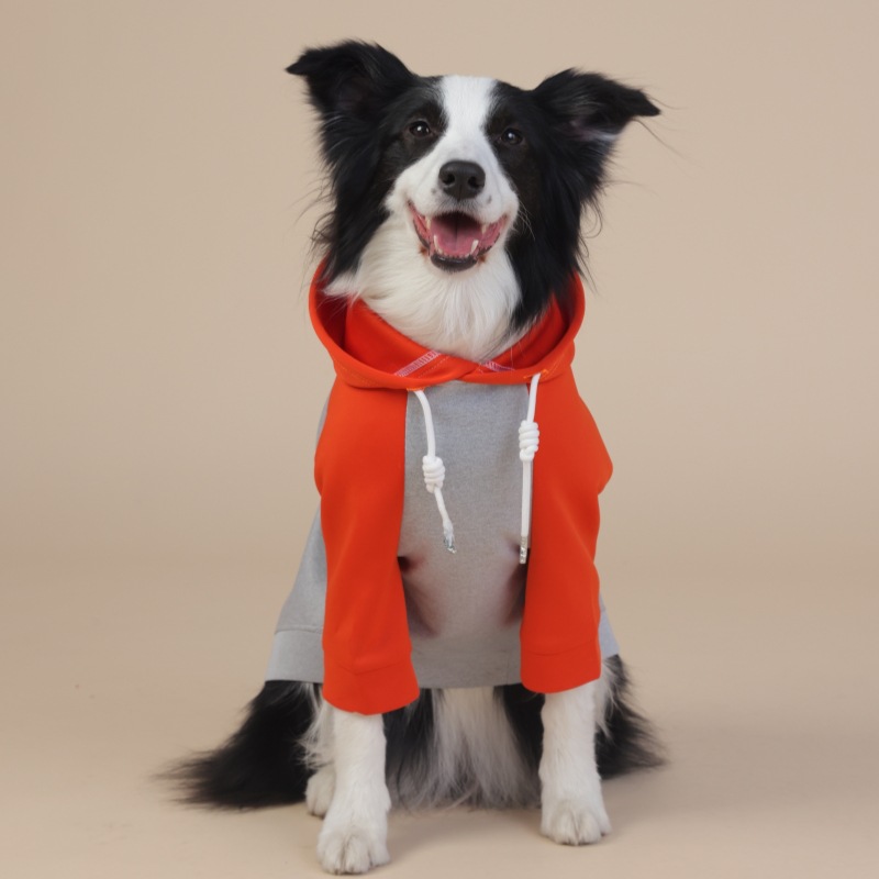 Waterproof Raincoat for Dogs - Medium/Large Size, Reliable & Stylish, Suitable for Year - Round Use