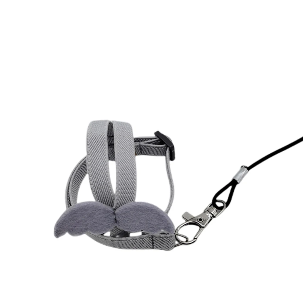 New Parrot Flying Harness Leash Suit Pet Bird Outdoor Flight Training Rope Cockatiel Supplies Macaw Accessories Stuff For Budgie