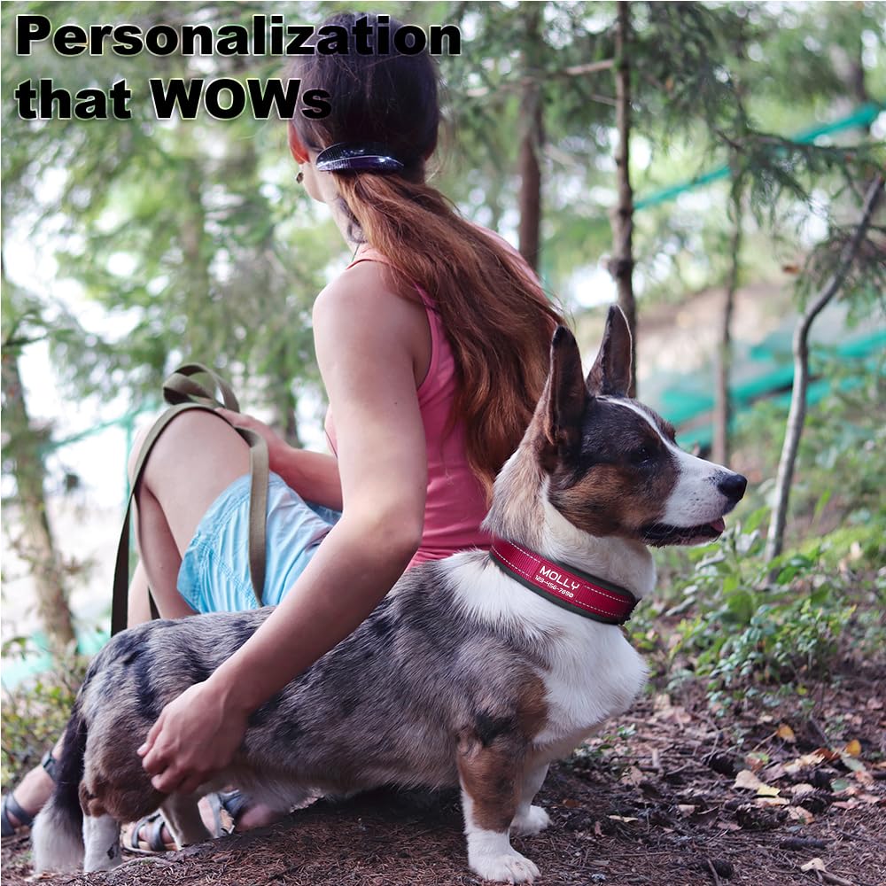 Adjustable ZIIZO Genuine Leather Dog Collar - High-Quality Material Ideal for Training & Everyday Use