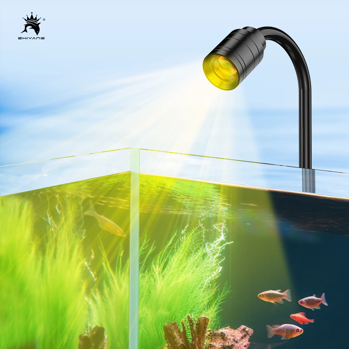 110-240V mini fish tank spotlight South American landscaping small aquarium clip light fish tank light led light