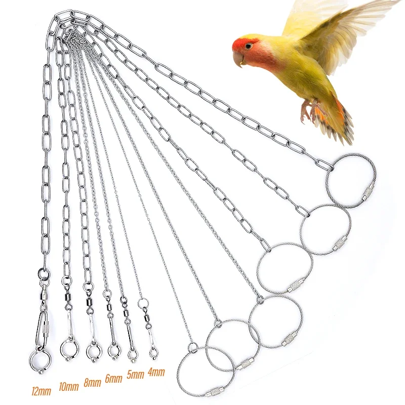 Bird Parrot Foot Chain Stainless Steel Ankle Foot Ring Stand Chain Outdoor Flying Training Starling Pigeon Bird Accessories