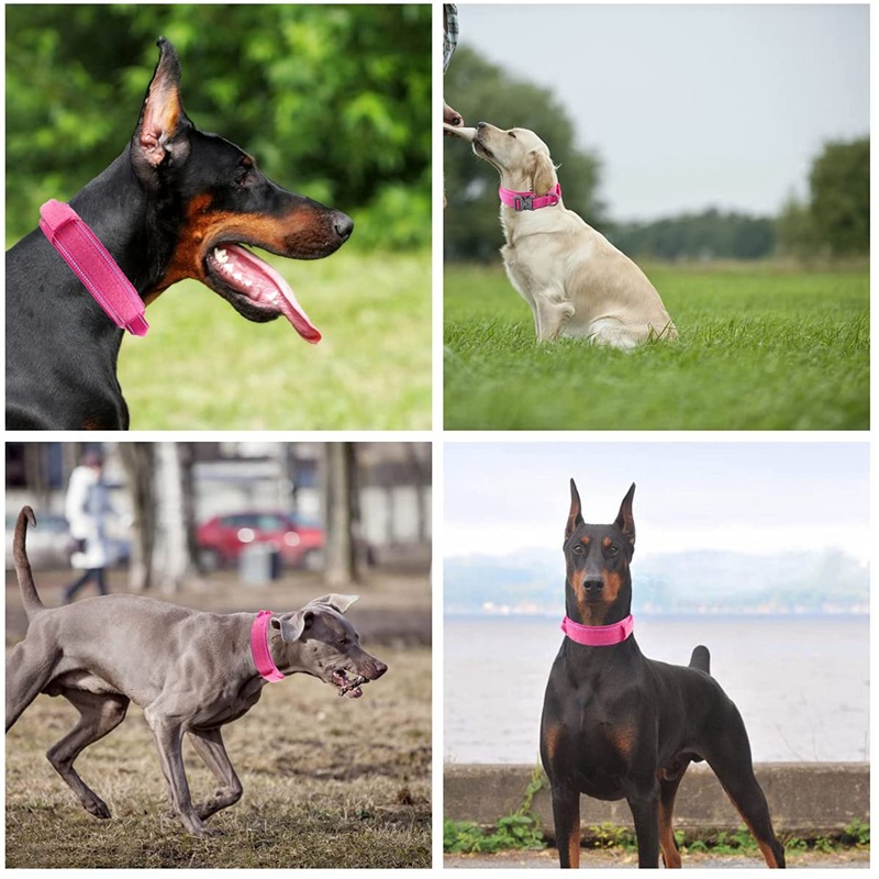Reflective Tactical collar Adjustable military training nylon dog collar Dog collar with handle Quick release of dog collar
