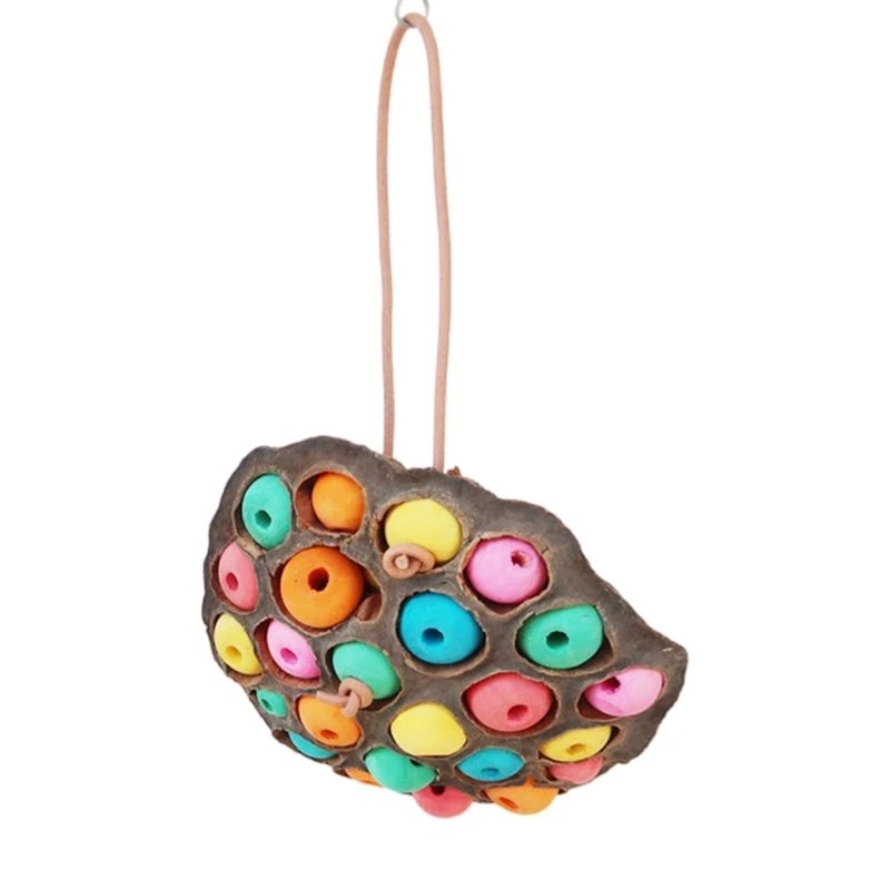 Bird Toy Parrot Chewing Toy Birdcage Tearing Toy All Size Birdcage Nature Lotos Seedpod Bird Toy for Conures Cockatiels