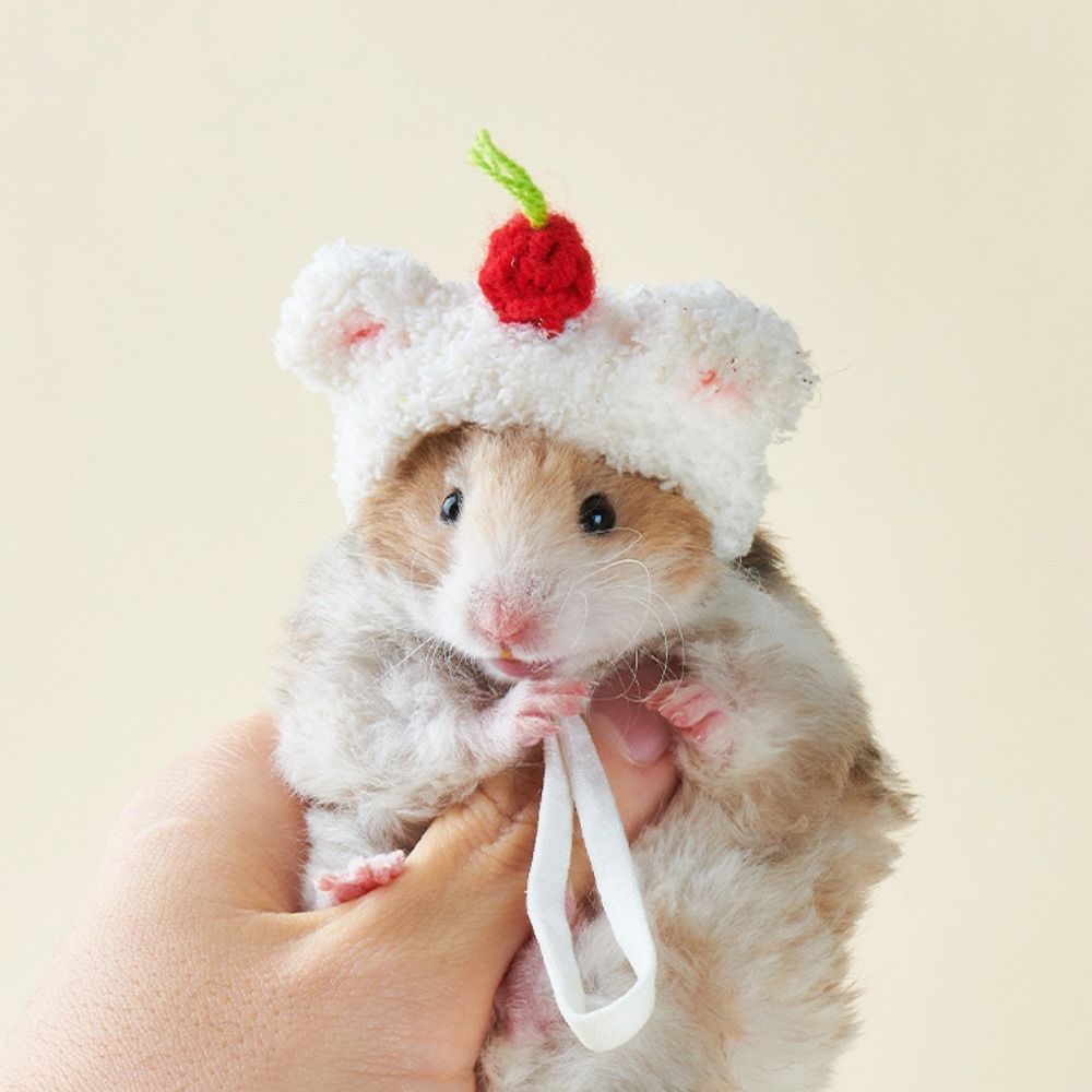 Hand Crocheted Hamster Cap Photo Props Mini Cute Doll Hat Plush Small Pet Hat