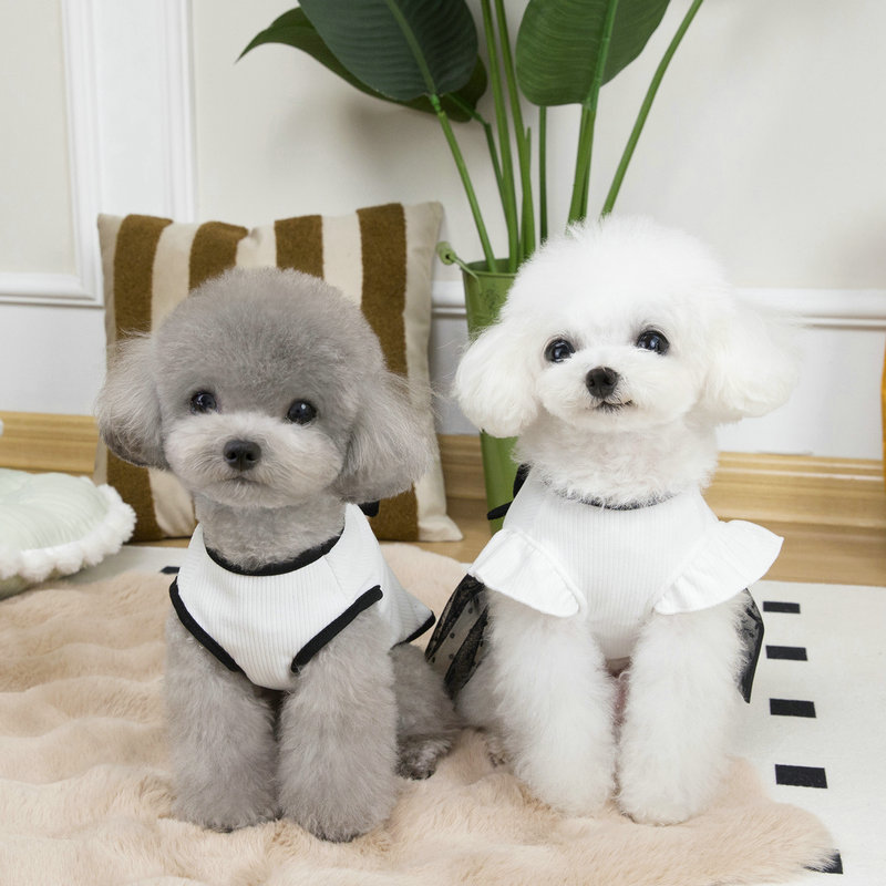 Spring Summer Pet Clothes Dog Wedding Dress Small Meidum Dog Leash Dress Designer Dog Clothes
