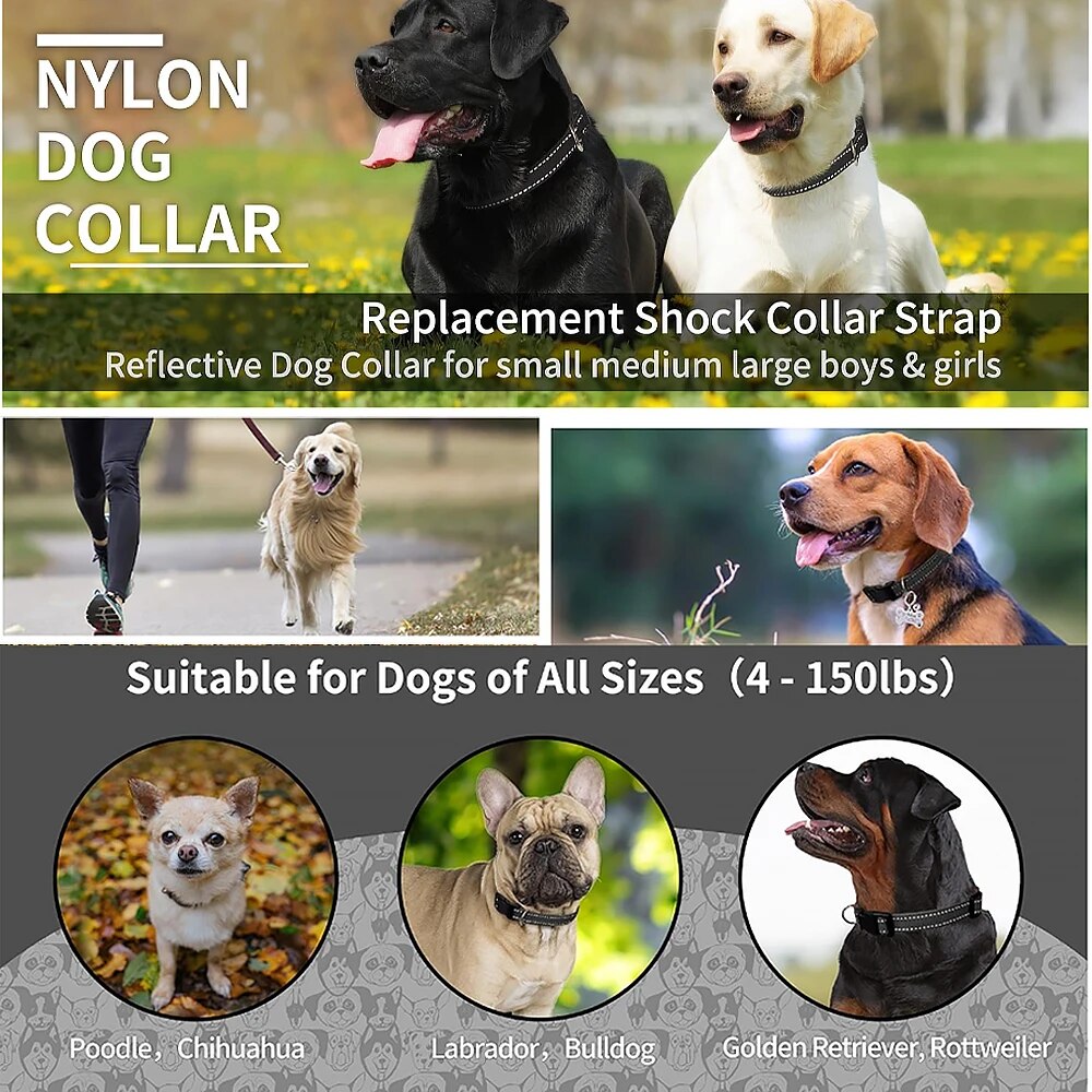PaiPaitek 1Pcs Replacement Shock Collar,Adjustable Dog Collar with Quick Release Buckle Nylon Collar for Small Medium Large Dog