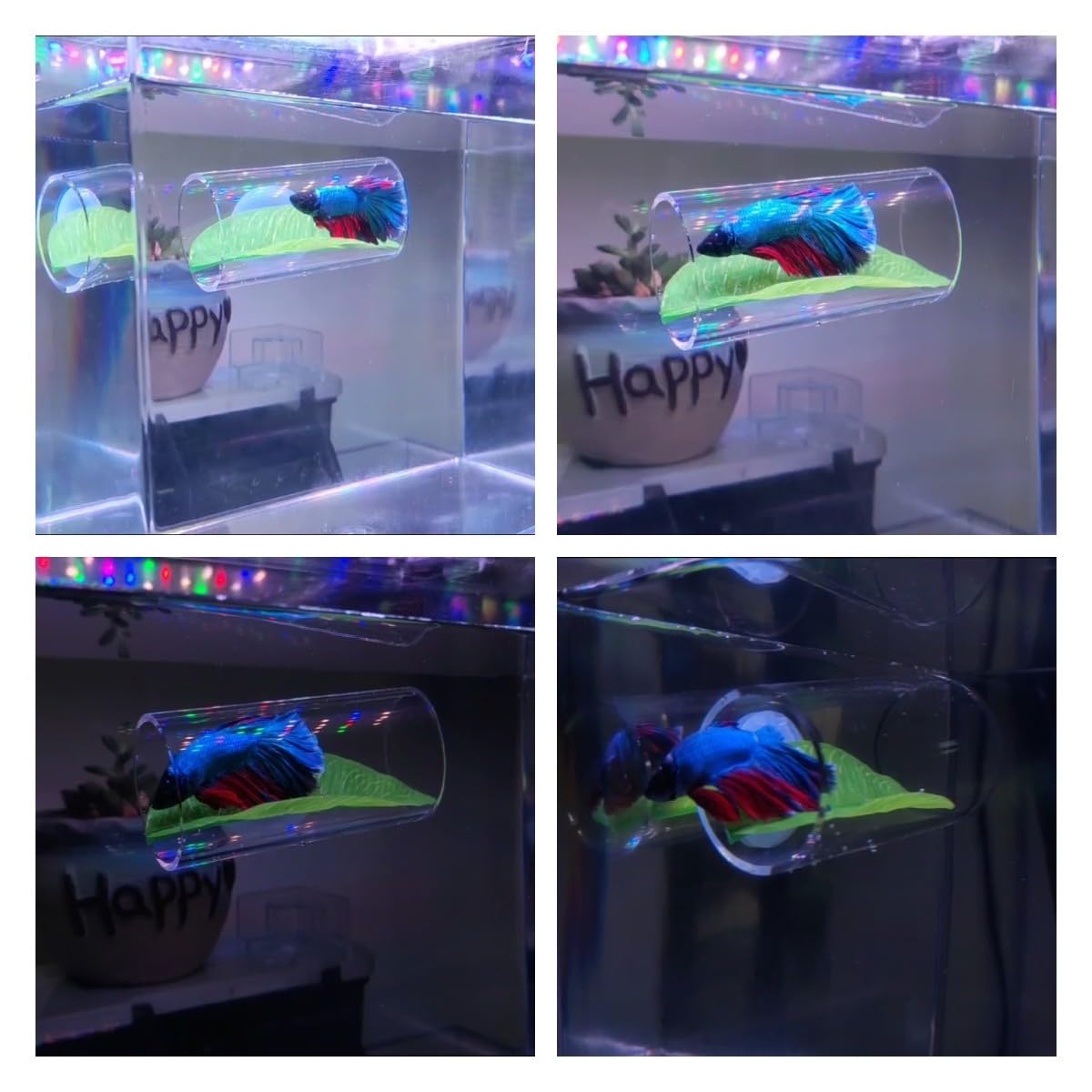 1/2Pcs Betta Fish Acrylic Tube Tunnel Hollow Design Fish Tank Decorations For Better Observation Fish Improves Betta's Health