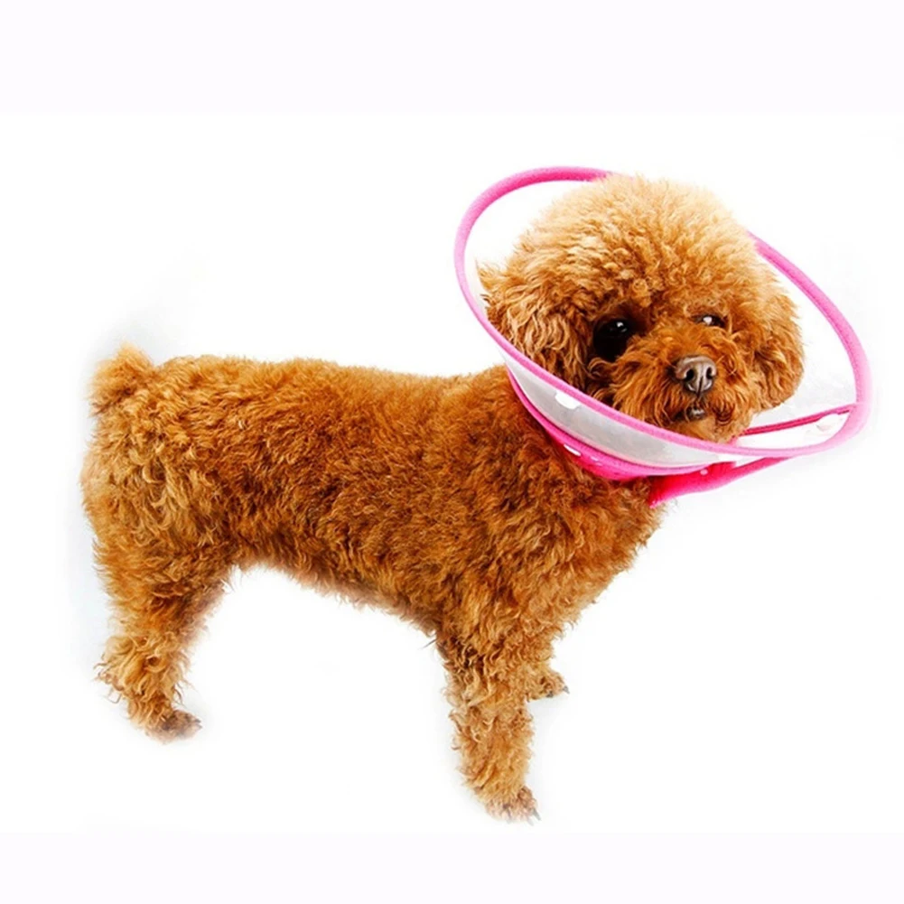 Pet Protective Collar For Small Large Dogs Anti Bite Grasping Licking Collar Puppy Cat Recovery Cone Ring Pets Care Accessories