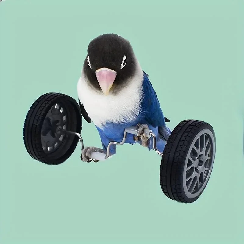 Bird Toys Parrot Balance Car Toy Pet Bird Interactive Skill Training Toys Exercise Fun Play Toys For Parrots Parakeets