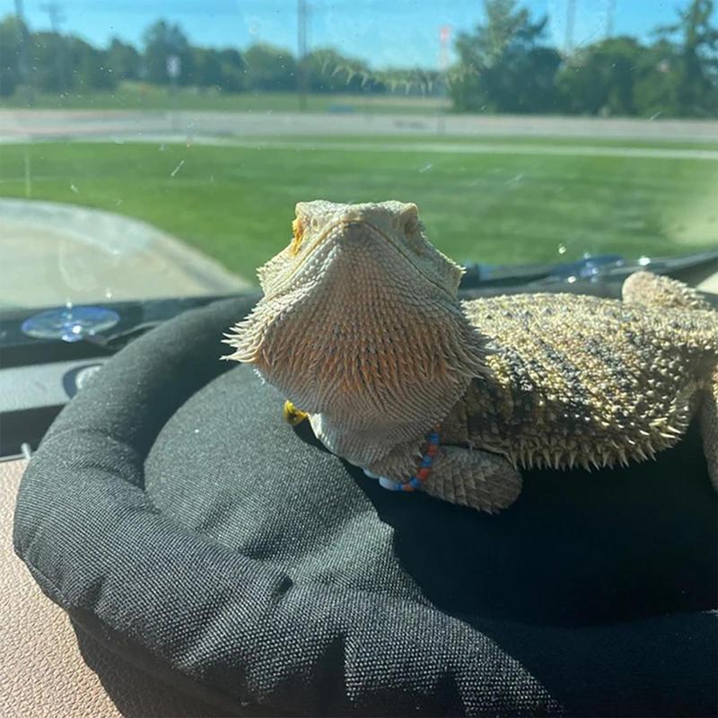 Car Lizard Hammock Portable Comfortable Lizard Pad Bearded Dragon Supplies Lightweight Reptile Bed With Strong Suction Cup For