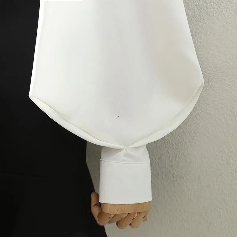 Blouses Tops Women White Black Long Lantern Sleeve Office Lady Temperament Autumn Winter Basic All-match Chic Female 250228