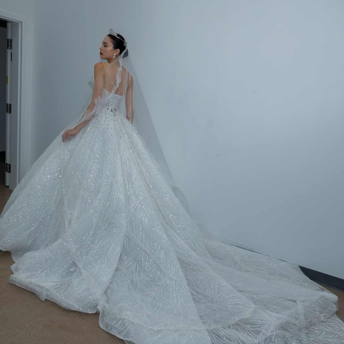 Graceful Wedding Dresses Ball Gown Lace Crystal Appliques Beads with Bling Sequins Floor-Length Court Gown Customized Bridal Gowns Vestidos De Novia
