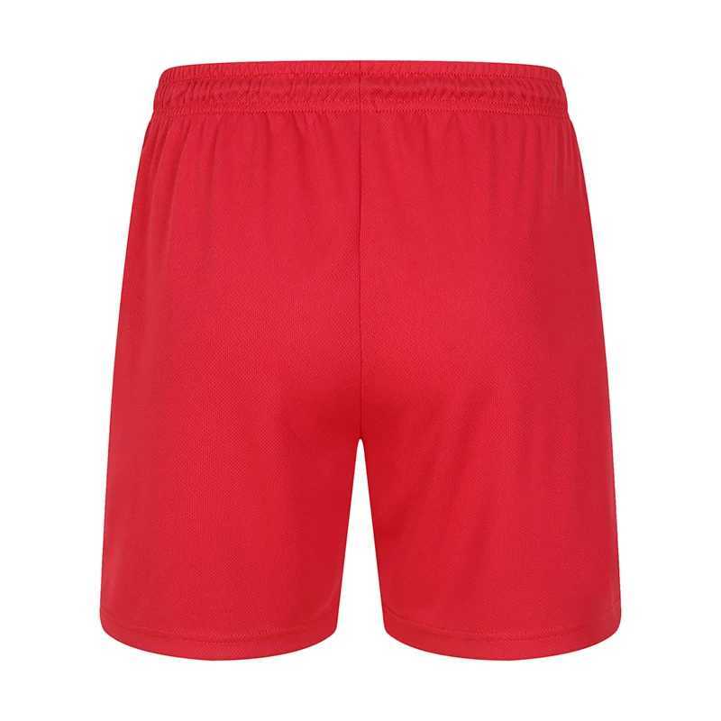 Summer Shorts For Men New In Man Clothing Casual Pants Running Shorts Jogging Tracksuits Mesh Breathability Fitness SweatpantsT250304