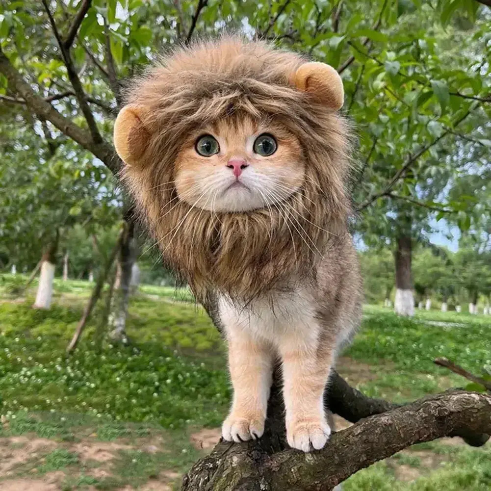 Update Decorative Hat Soft Lightweight Lion-Style Hats Breathable Hood Adorable Pet Photograpps Cat Costume Cosplay